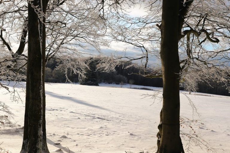 icivics first branch: legislative answer key pdf